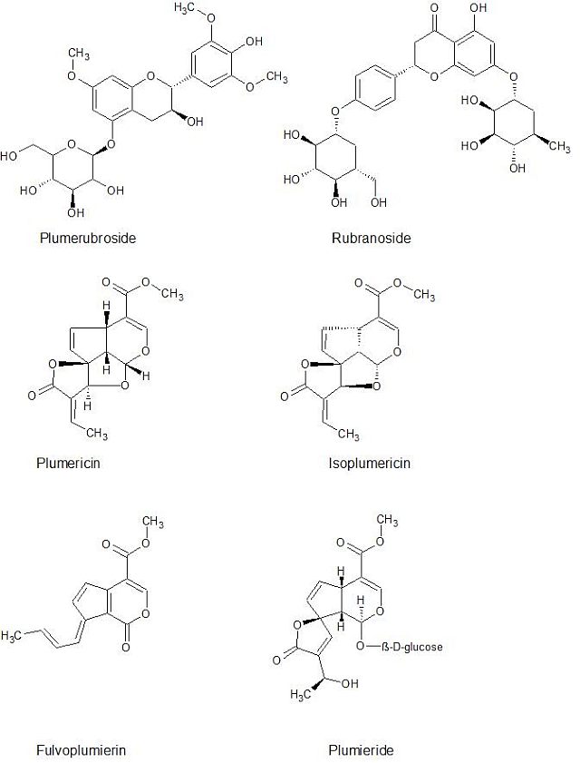 Toxicology - Prof. RNDr. Jiří Patočka, DrSc - Plumeria rubra produces a ...